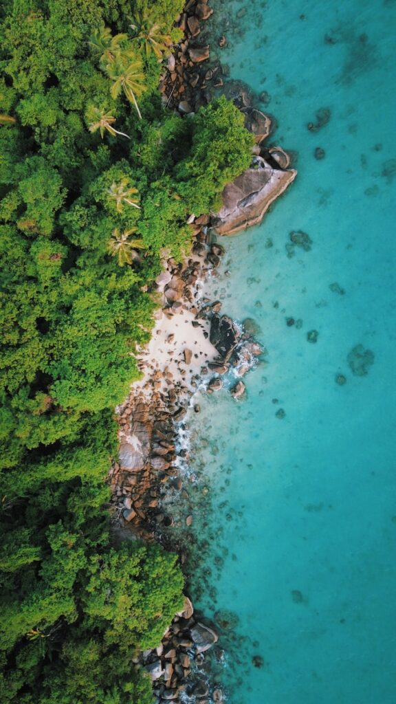 a bird's eye view of a beach surrounded by trees